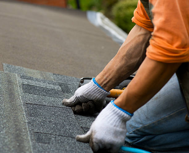 Best Metal Roofing Contractor  in Steamboat Springs, CO