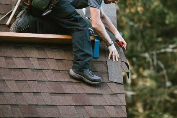 Best Metal Roofing Contractor  in Steamboat Springs, CO